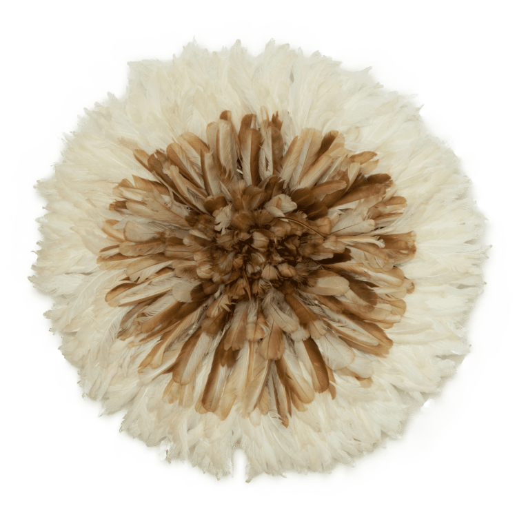 Juju - Pupille Marron